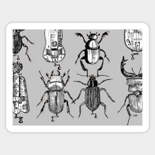 Hurdy gurdy beetle theme Sticker